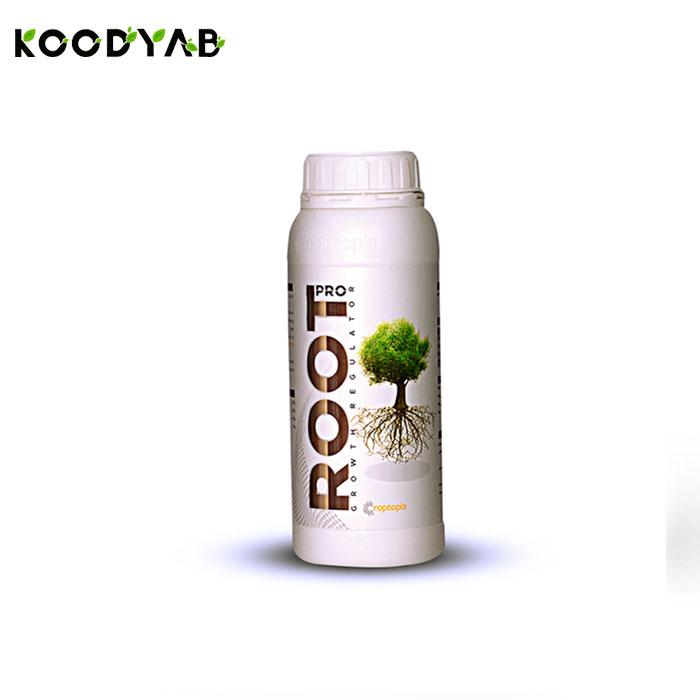 کود پرو روت راپتوپیا