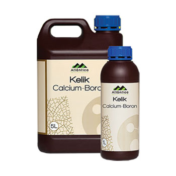 کود کلیک کلسیم برآتلانتیکا