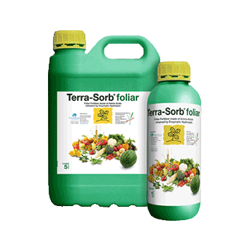 کود ترا سورب برگی بیوبریکا