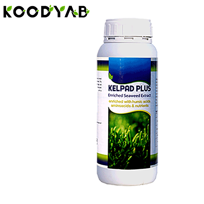 کود کلپاد پلاس پادنا