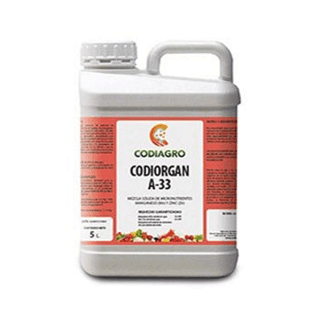 کود کدی ارگان آ 33 کودیاگرو