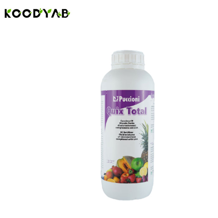 کود کوییکس توتال پوچینی