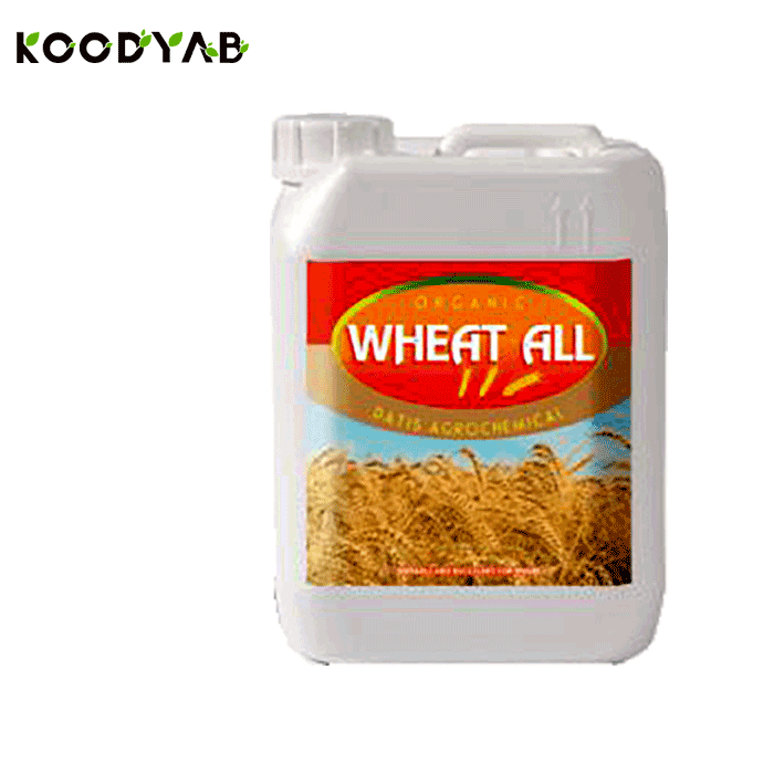 کود ویت آل داتیس