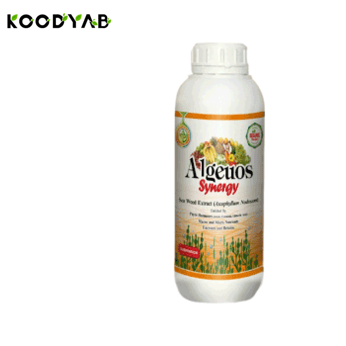 کود آلجیوس سینرژی رایحه دشت سبز ایرانیان