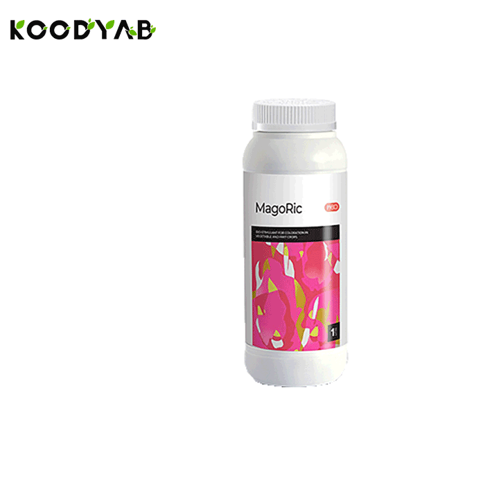 کود ماگوریک ریکو