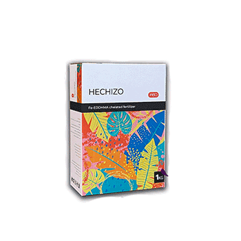 کود هچیزو جاست گرین