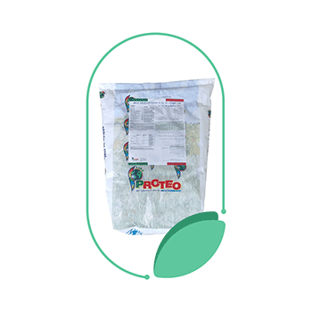 کود بست پروتئوگرین 20 20 20 پروتئو