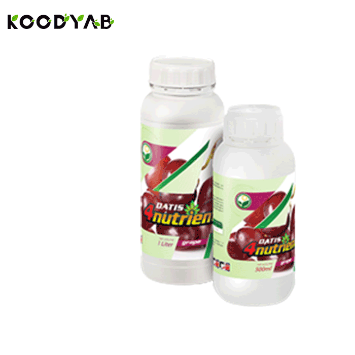 کود انگور داتیس