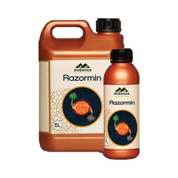 کود رازورمین آتلانتیکا