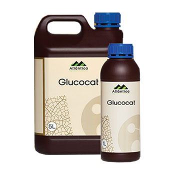 کود گلوکوکت آتلانتیکا