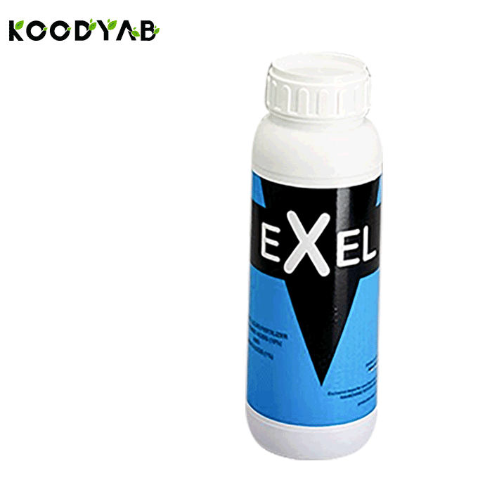 کود اكسل هورتیلند