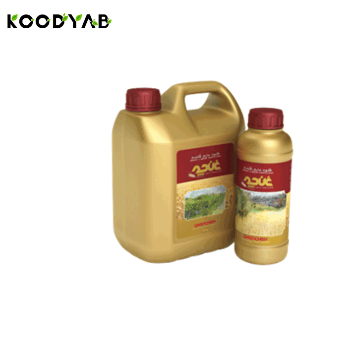 کود گندم غنچه