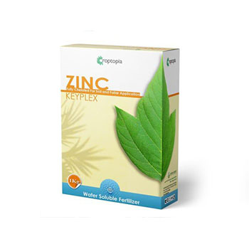 کود کی پلکس روی راپتوپیا