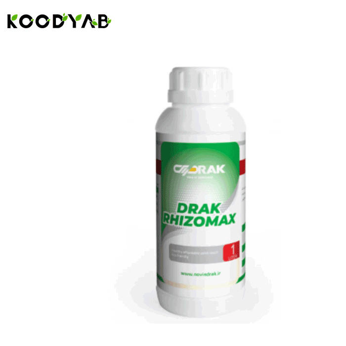 کود رایــزومکــس دراک