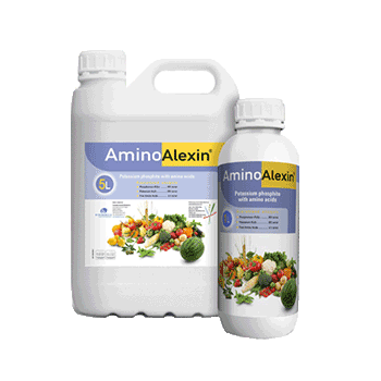 کود آمینو آلکسین بیوبریکا