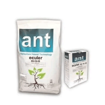 کود اکولر ای ان تی