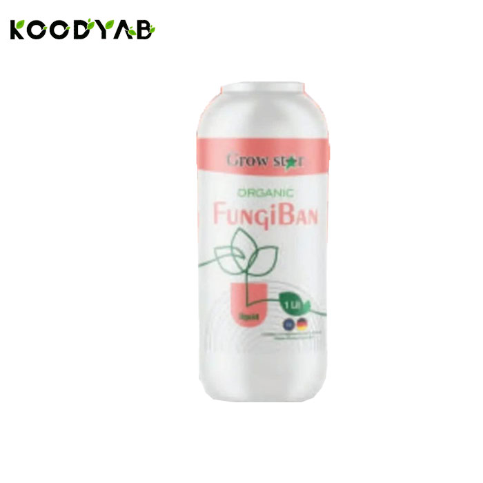 کود  فانگی بن گرواستار