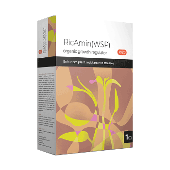 کود ریک آمین ریکو