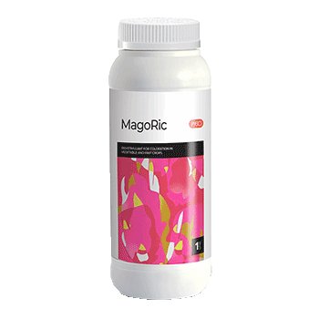 کود ماگوریک ریکو