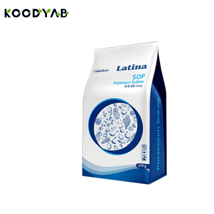 کود سولو پتاس لاتینا