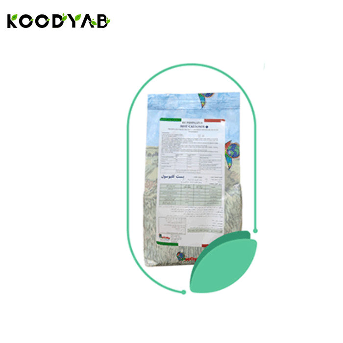 کود بست کلبوسول پروتئو