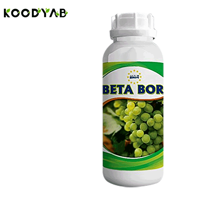 کود بتا بور آگروزولد