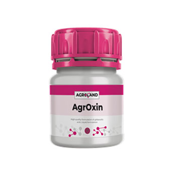 کود آگروکسین صورتی آگرولند