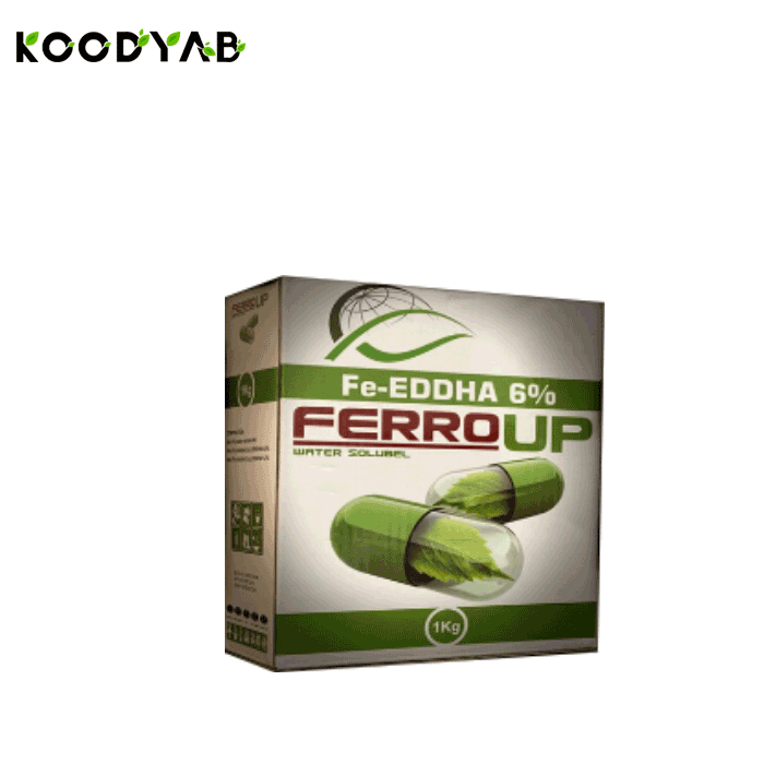 کود آهن سیتی مکس