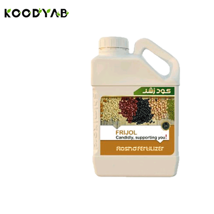 کودحبوبات رشد