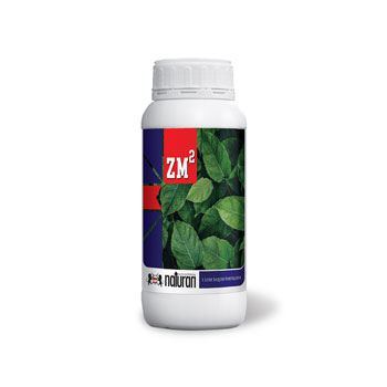 کود زد ام نیچران