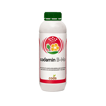 کود آمین بر مولیبدن  کدا