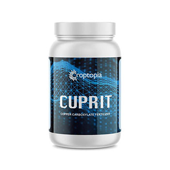 کود کاپریت راپتوپیا