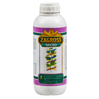 کود میکرو زاگرس