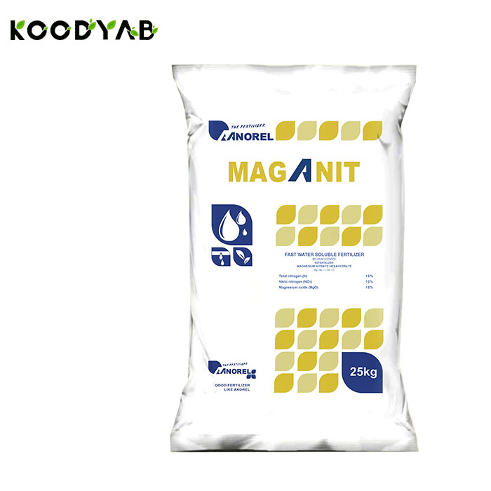 کود مگانیت آنورل