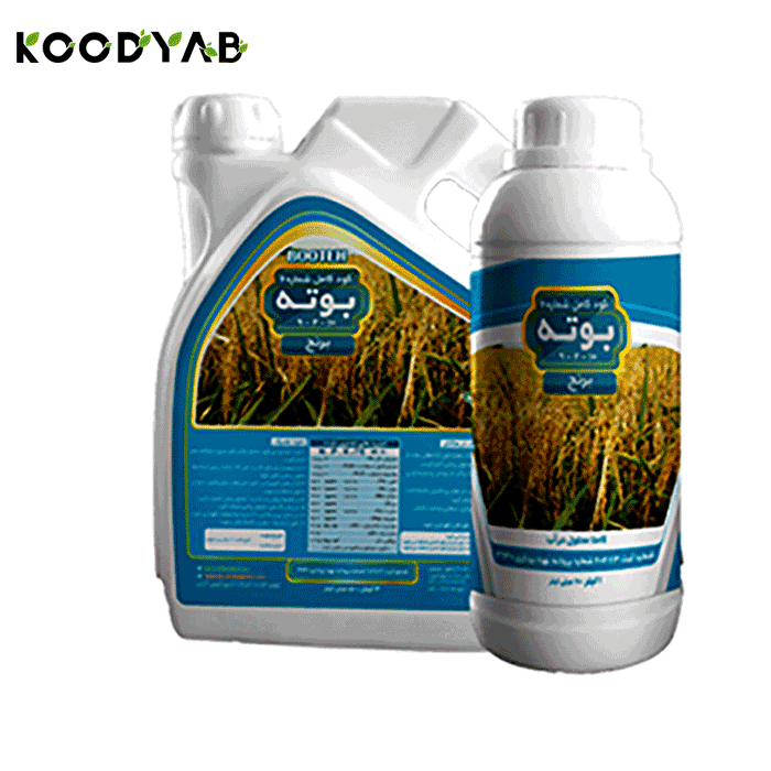 کود برنج  بوته