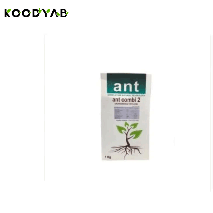 کود کمبی 2 اِی اِن تی