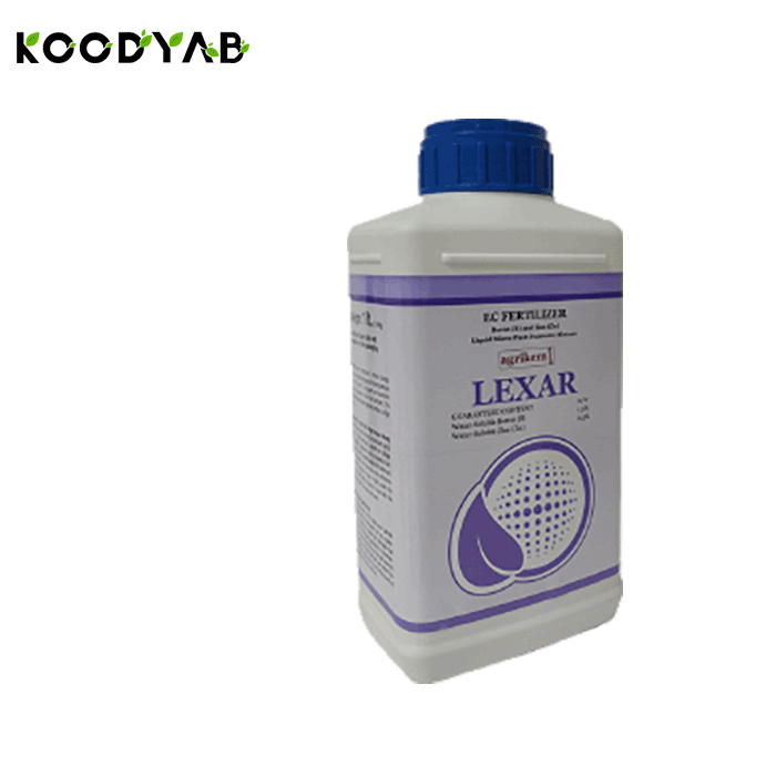 کود لکسار آگلوکان