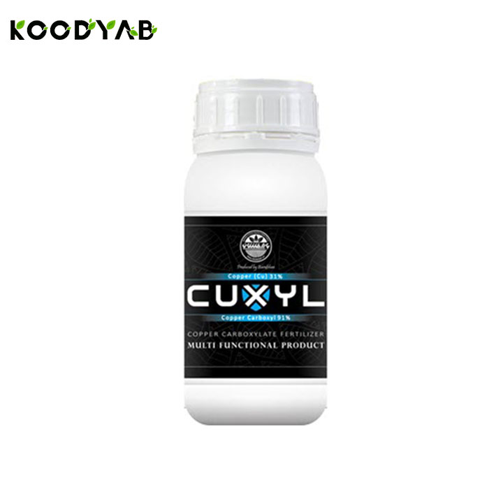 کود پودری قارچ کش مسی کوکسیل بارافشان 