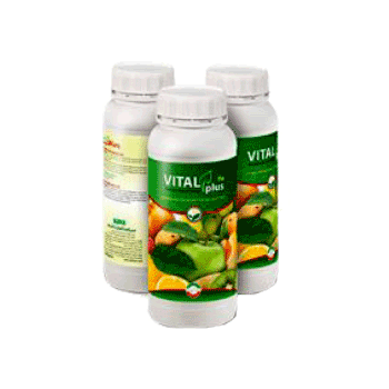 کود ویتال پلاس آهن داتیس