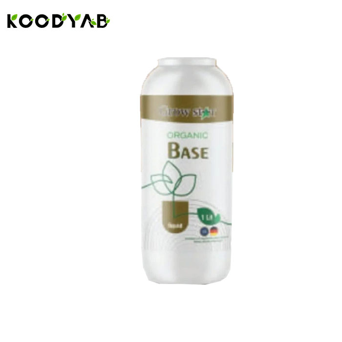 کودارگانو بیس گرواستار