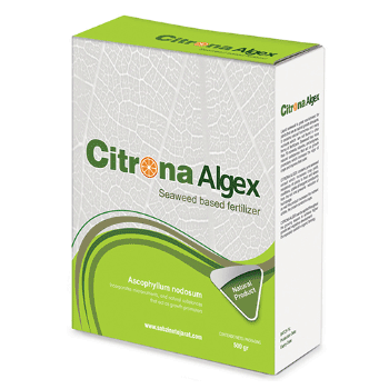 کود آلژکس سیترونا 