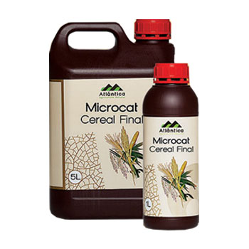 کود میکروکت سرال فینال آتلانتیکا