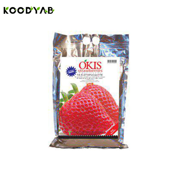 کود ویژه توت فرنگی اکیس