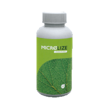 کود آهن10میکرولایز