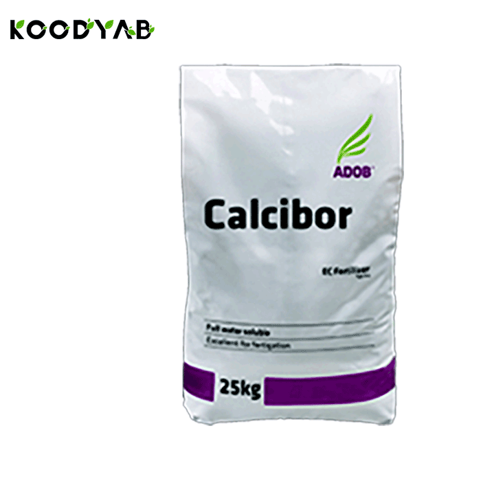 کود کلسی بر ادب