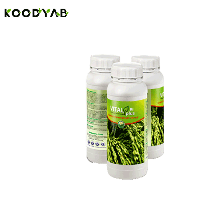 کود ویتال پلاس برنج داتیس