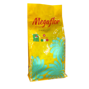 کود ایدروپلنت 20 20 20 مگافلور