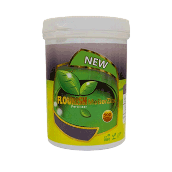 کود مو بر زینک فلوریش