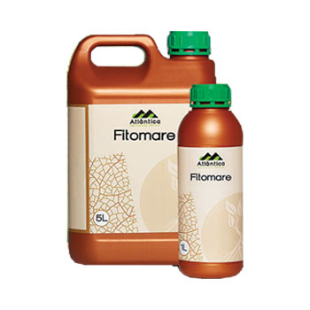 کود فیتومار آتلانتیکا