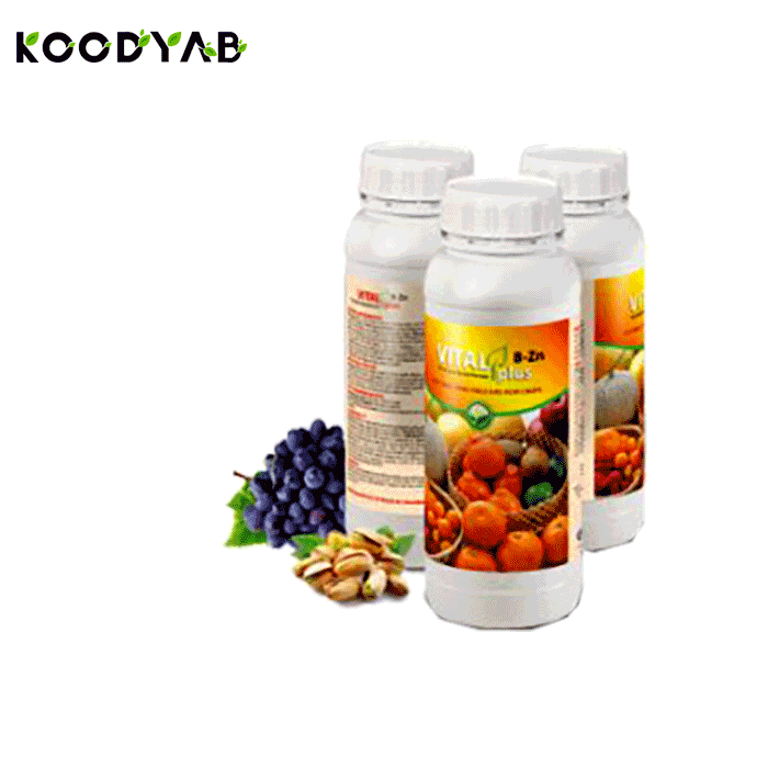 کود ویتال پلاس بر زینک داتیس